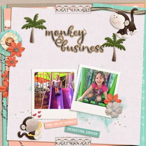 sandie03 Monkey Business