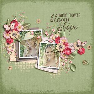 Where Flowers Bloom