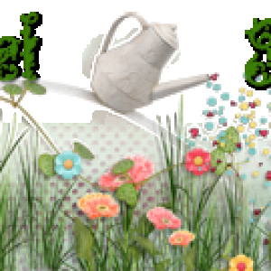 Spring Fever