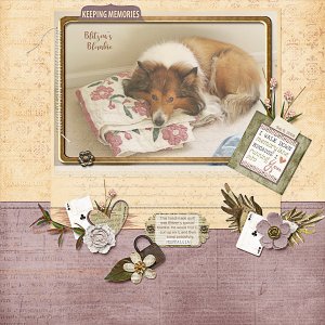 Blitzens Blankie