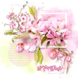 "Dew Kissed Blossom"