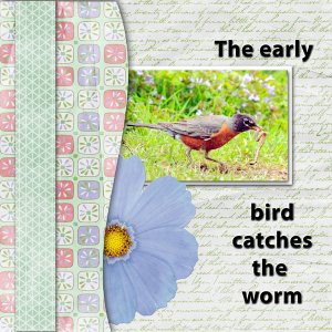 The early bird catches the worm