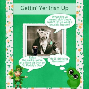 Gettin' Yer Irish Up
