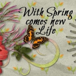 New Life