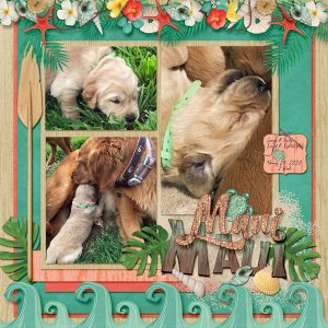 GSMixItUpCh320-Maui22920