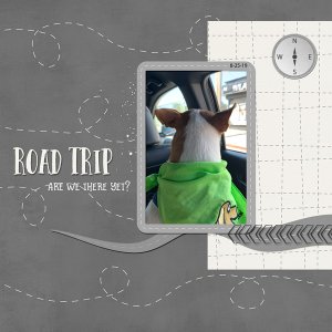 Road Trip