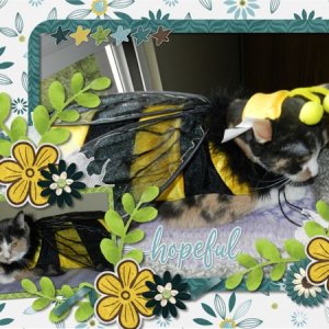 March 2020 Desktop