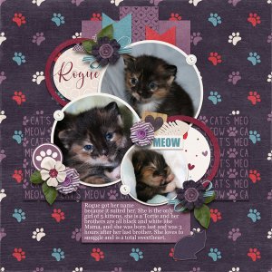 March 2020 Template Bundle - Cat's Meow