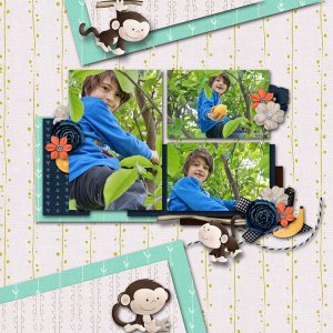 my monkey