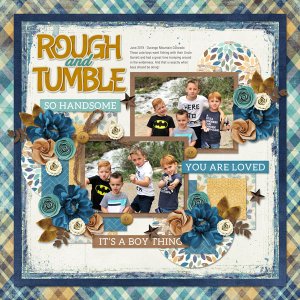 ROUGH AND TUMBLE