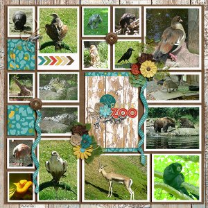 Seattle Zoo 1