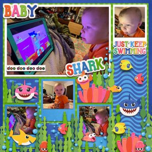 Little Shark