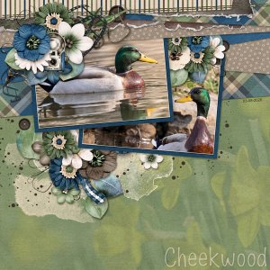 Ducks @ Cheekwood