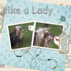 Like a Lady