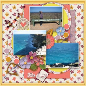 The Bight Memory