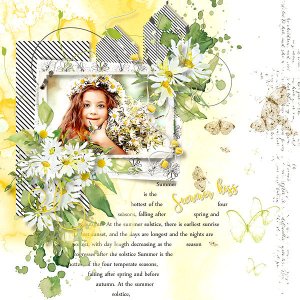 Fields of Daisies