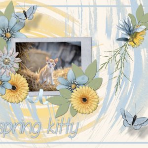 spring kitty