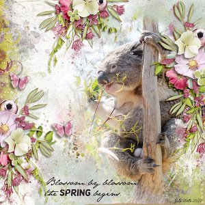 spring begins