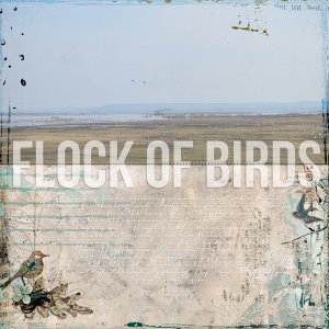Flock of birds