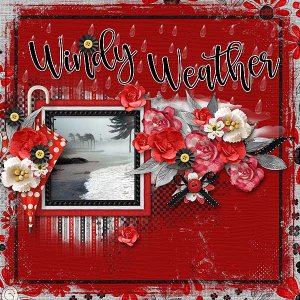 Windy Weather
