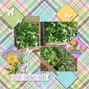 Love Grows Here