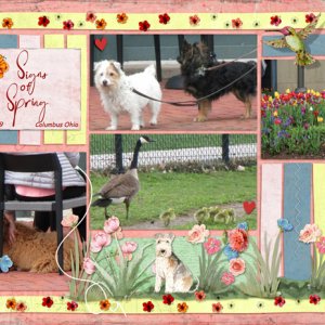 Signs of Spring