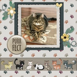 March 2020 Mix It Up Challenge