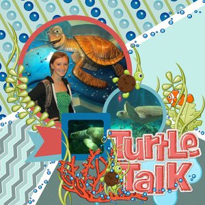 Turtle Talk