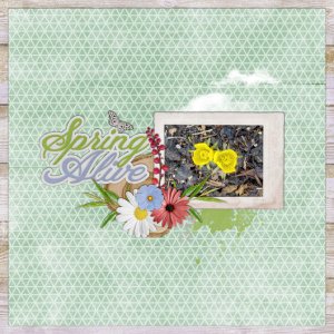 Spring Alive