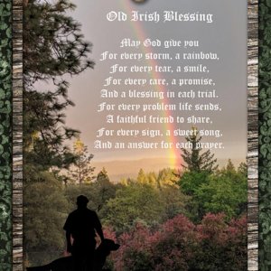 March Quote Challenge -Old Irish Blessing