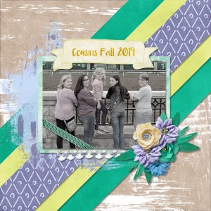 Cousins Fall 2019