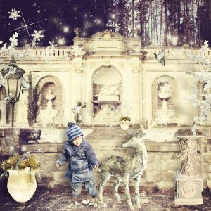 My winter castle