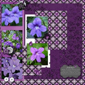 BD-AmethystFloral