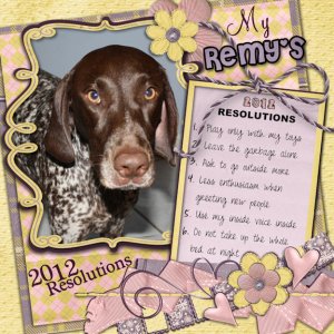 Remy's Resolutions