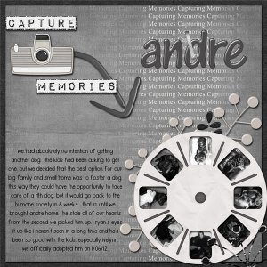 Capture Memories