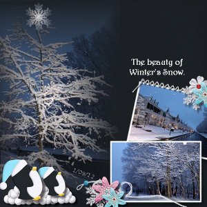 Winter's Snow