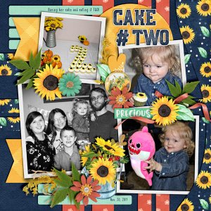 Cake # Two