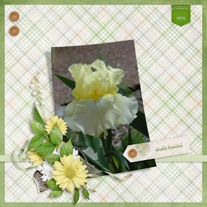 March Color Challenge - iris
