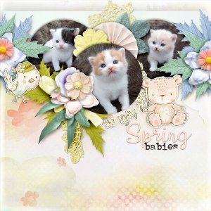 Spring-babies1