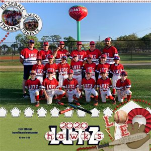 Lutz Hawks 2020