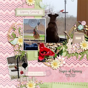 Spring Fever