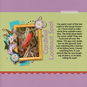 Cardinal Lookout Spot - FB SpeedScrap