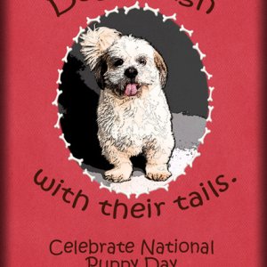 ATC 2020-039 Dogs Laugh
