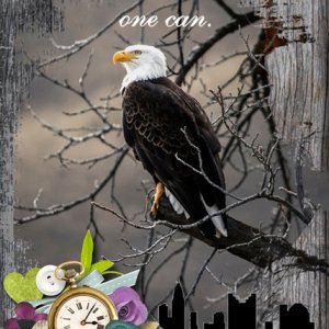 One Can