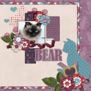 Bear6