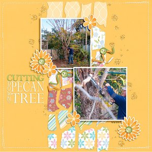 Week One - Cutting Down the Pecan Tree