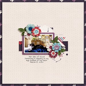 Social