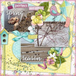 Spring Is Coming