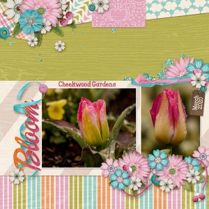 Week One - Bloom