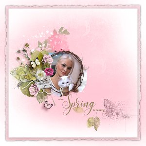 Spring In Bloom